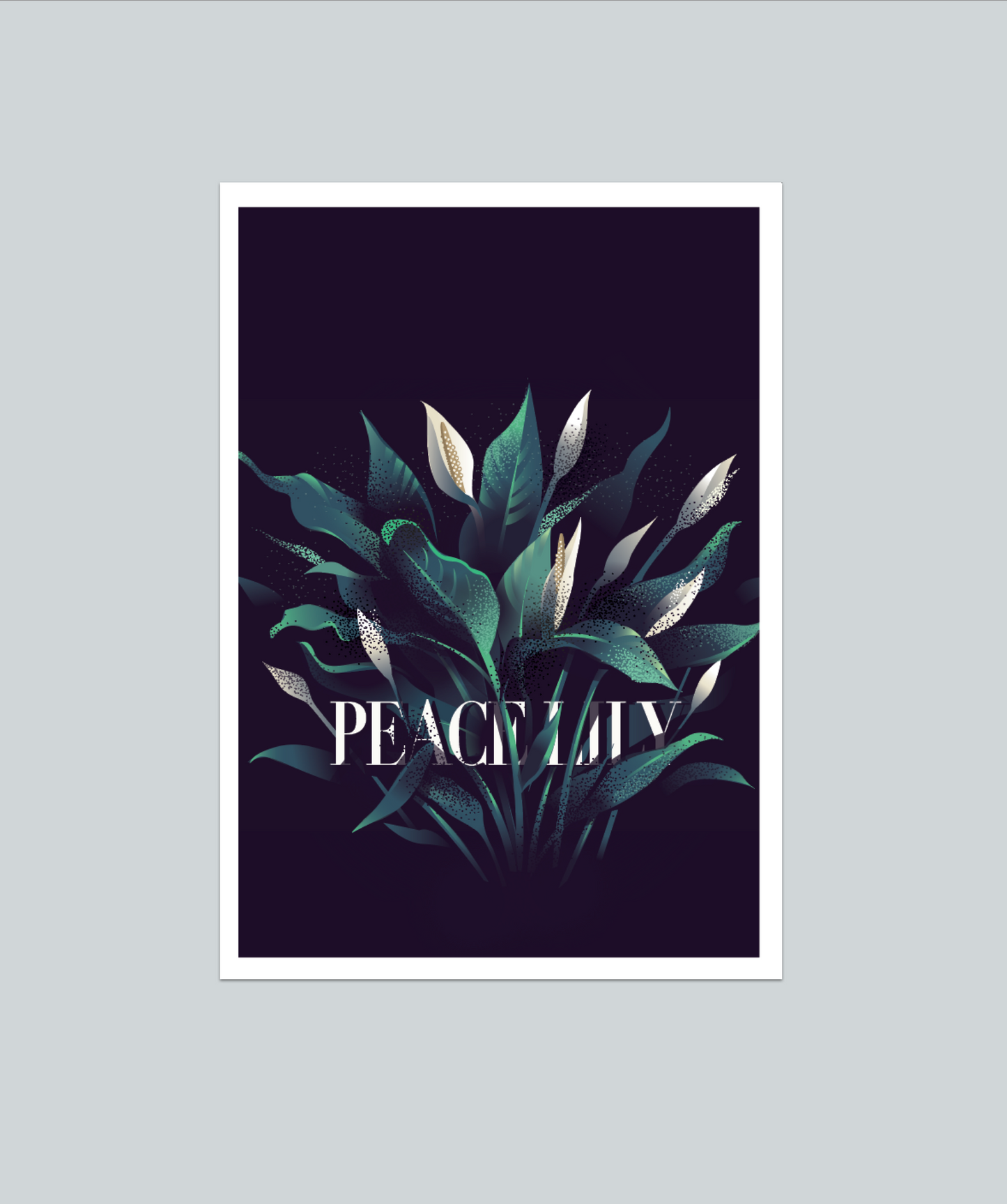 Peace Lily