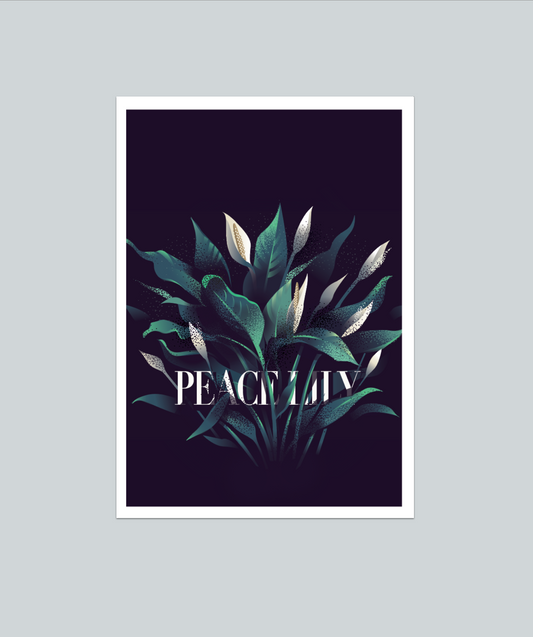 Peace Lily